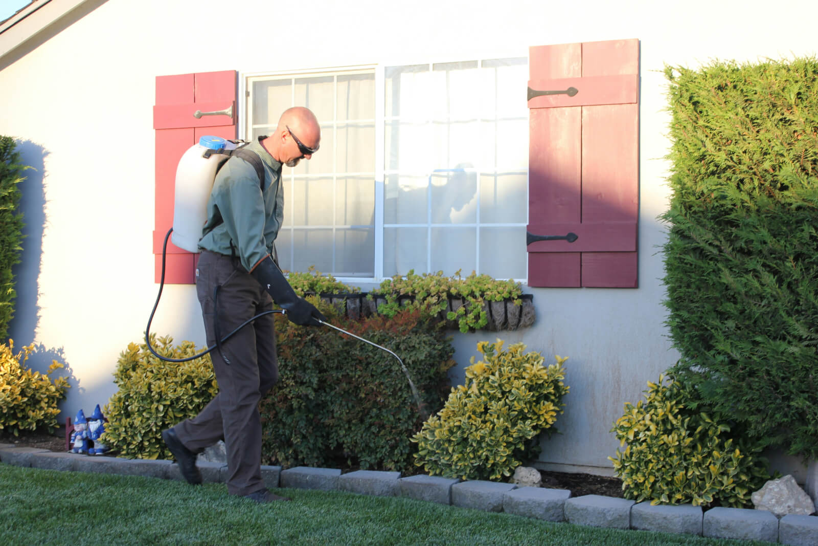 A pest control technician treating the foundation line of a home with a backpack sprayer